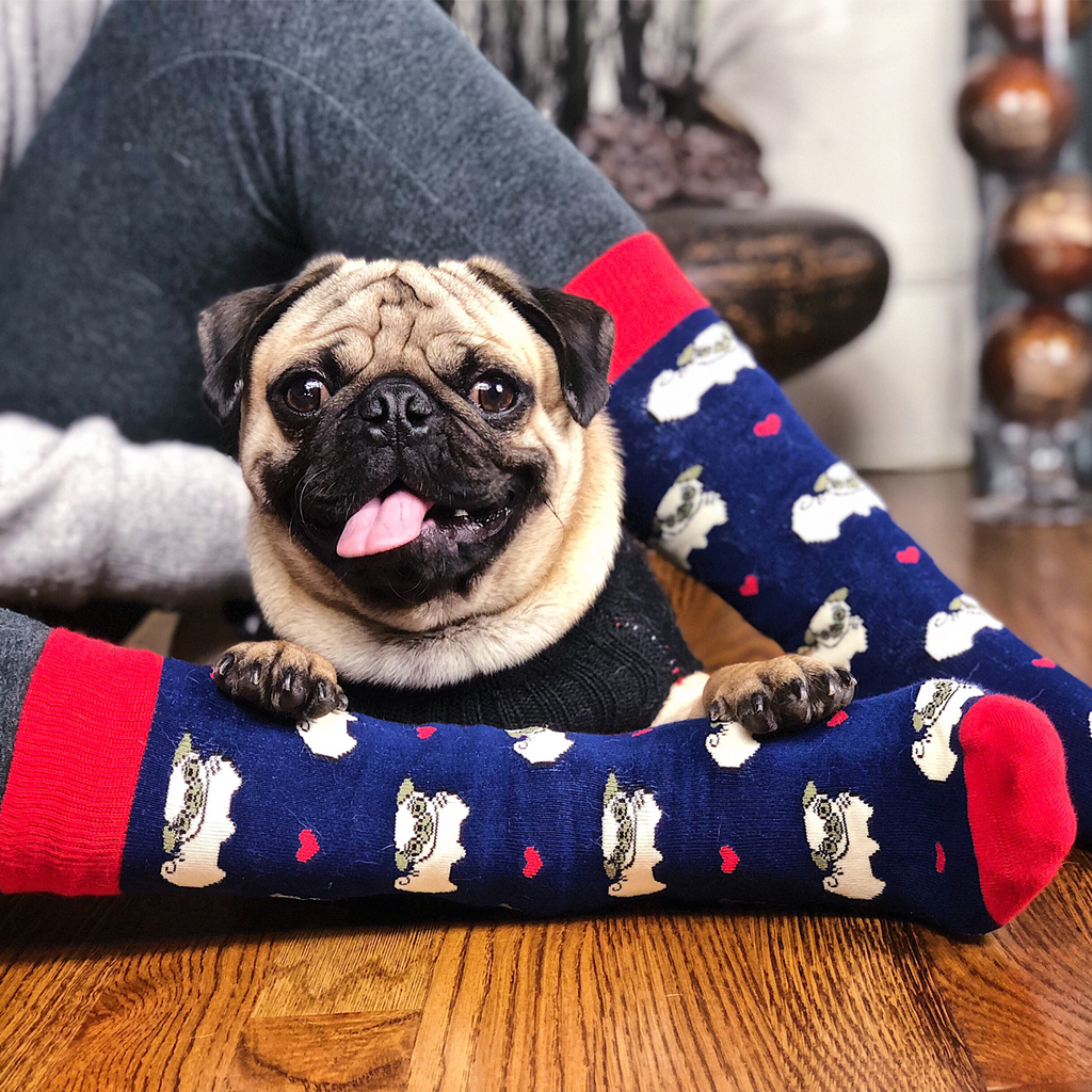 Navy Blue Pug Socks BARX SOX